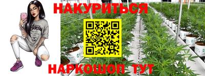 сатива Усть-Джегута