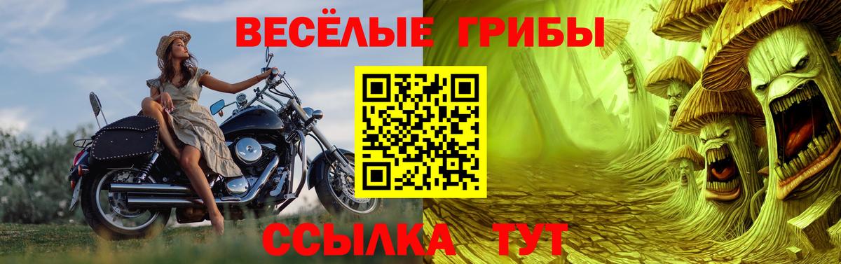 Псилоцибиновые грибы GOLDEN TEACHER  Вход с VPN  Брянск 